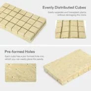 Vivosun 1.6" Rockwool Grow Cubes, 1 sheet of 28 Plugs - Image 6