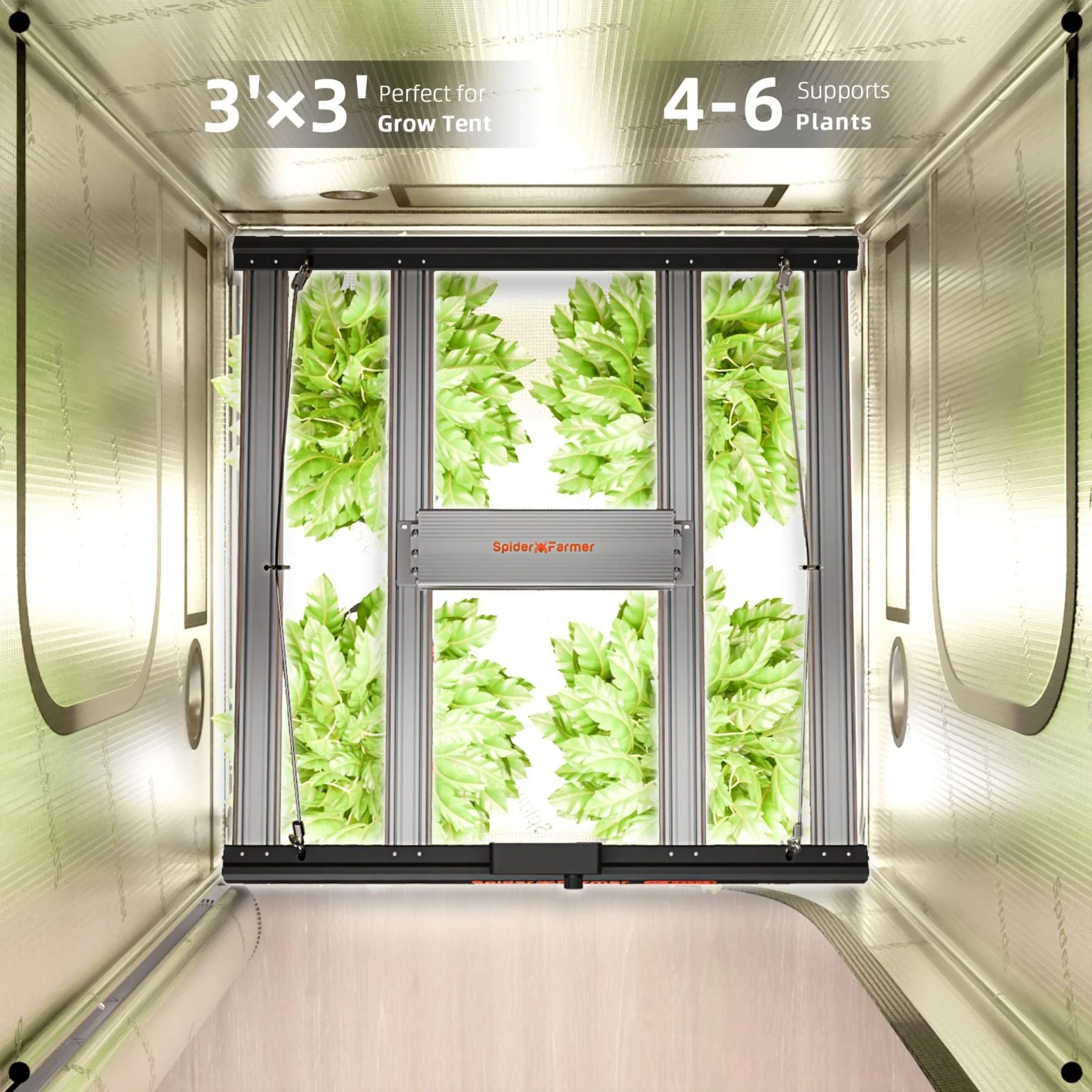 Spider Farmer G3000 300W WiFi & Bluetooth App-Controlled Dimmable Cost effective Full Spectrum LED Grow Light for 3X3 Grow Tent - Image 9