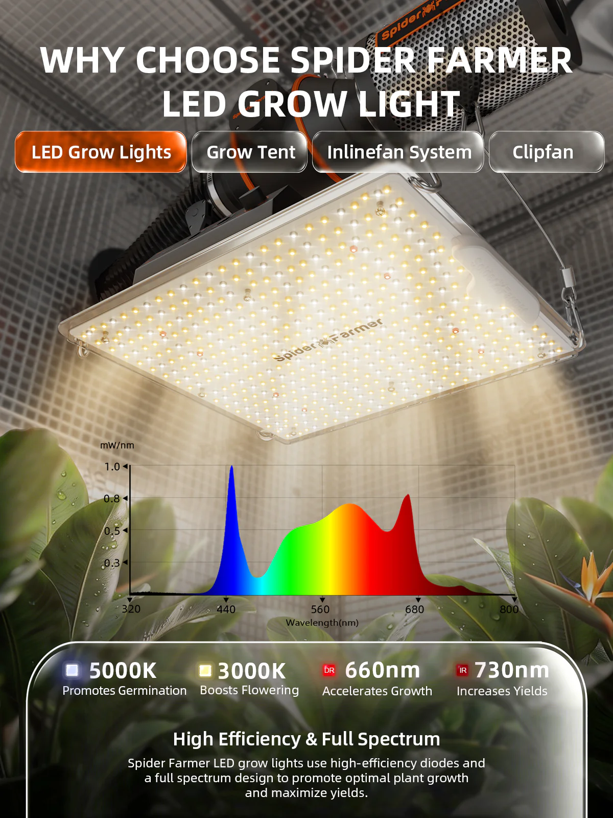 Spider Farmer® 2’x2′X4.6′ Complete Grow Tent Kit丨SF1000D Full Spectrum LED Grow Light丨6” Clip Fan丨4” Ventilation System with Speed Controller - Image 3