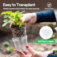 Vivosun 40 Packs 3/4/5/6 Inch Clear Nursery Pots with Drainage Holes - Image 2