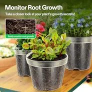 Vivosun 40 Packs 3/4/5/6 Inch Clear Nursery Pots with Drainage Holes - Image 3