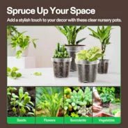 Vivosun 40 Packs 3/4/5/6 Inch Clear Nursery Pots with Drainage Holes - Image 6
