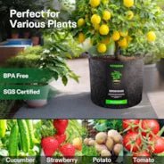 Vivosun 50 Gallon Grow Bags 1-Pack Black Thickened Nonwoven Fabric Pots with Handles - Image 2