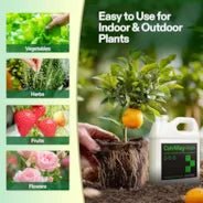 Vivosun Cal+Mag+Iron (2-0-0), Calcium, Magnesium & Iron Supplement, Liquid Nutrient Fertilizer for All Plants, 1 Quart - Image 6