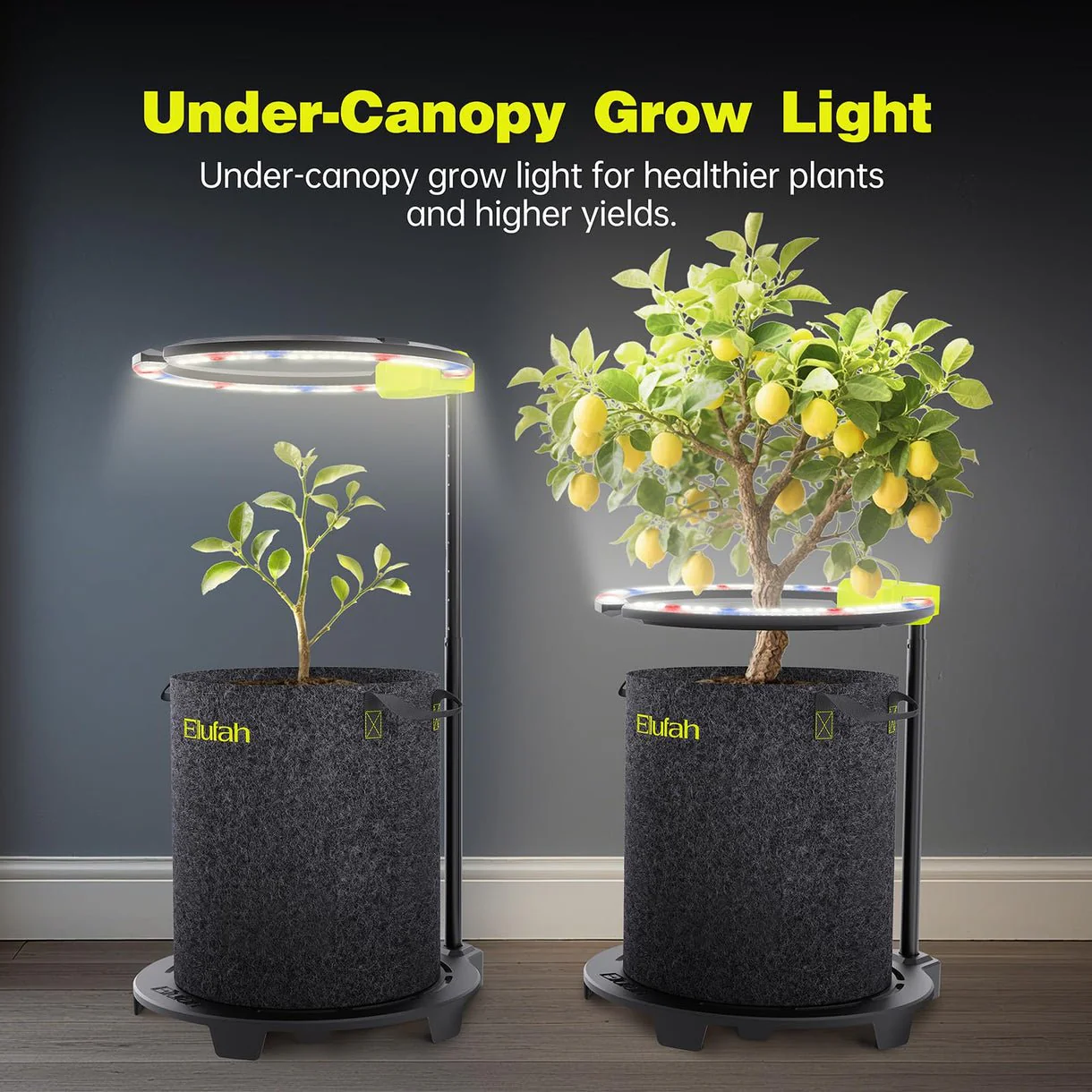 Elufah Saturn480 48 Watt Under Canopy LED Grow Light | 2 Ring Lights - Image 6