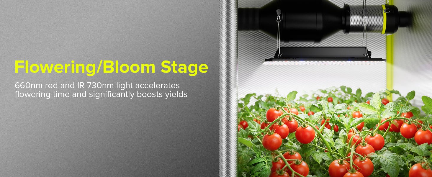 Elufah UAP1500 150 Watt LED Grow Light 2x2 3x3 ft - Image 18