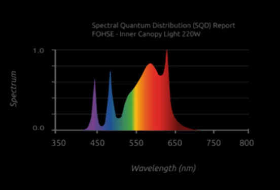 Fohse 220 Watt Under Canopy Light - Image 5