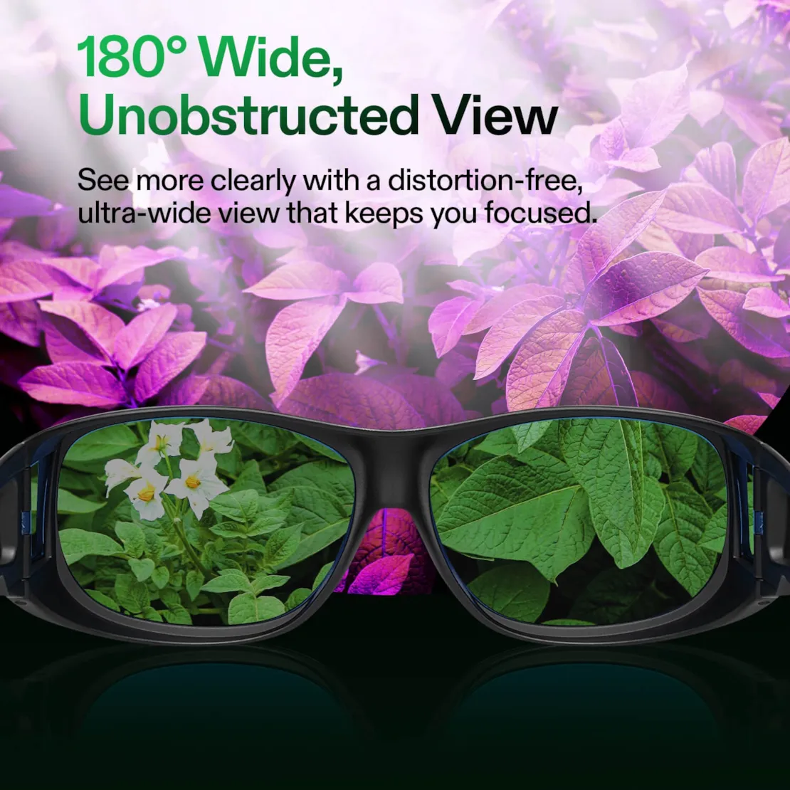 Vivosun Grow Room Glasses, Anti-UV Glasses for Visual Eye Protection, 1pcs - Image 5