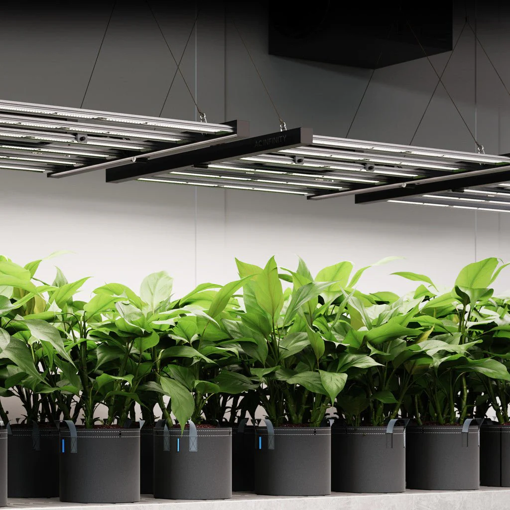 AC Infinity Ionframe EVO 3 280 Watt Commercial LED Grow Light 2X4 FT - Image 8