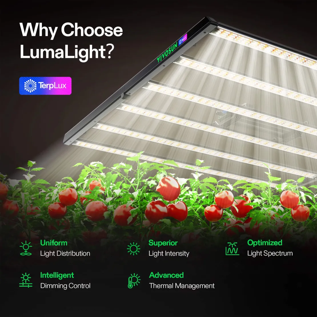 Vivosun LumaLight 750W LED Grow Light, Full Spectrum Indoor Plant Light with Deep Canopy Penetration, 5x5ft Coverage, GrowHub Compatible - Image 2