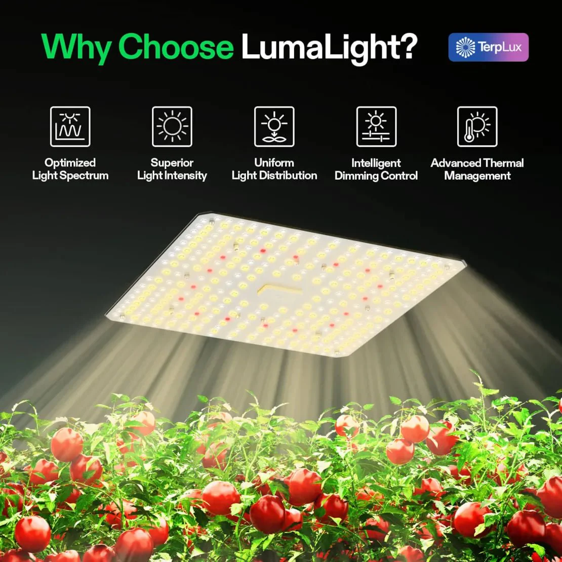 Vivosun LumaLight LED Grow Light, Full Spectrum Plant Light, 100W Smart Dimmable & High PPFD for Indoor Plants Seedling Vegetables Bloom - Image 2