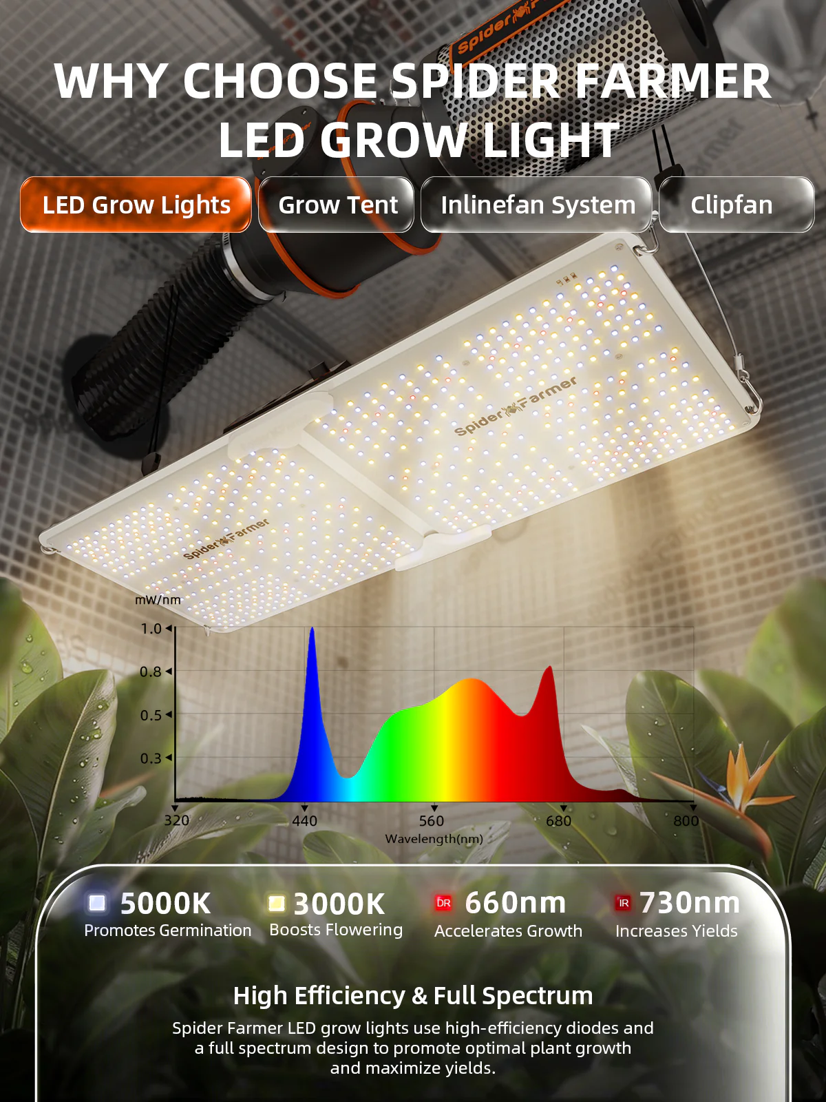 Spider Farmer® 2’x4’ Complete Grow Tent Kit丨SF2000 Full Spectrum LED Grow Light丨6” Clip Fan丨4” Ventilation System with GGS Controller | Free Sprayer - Image 4