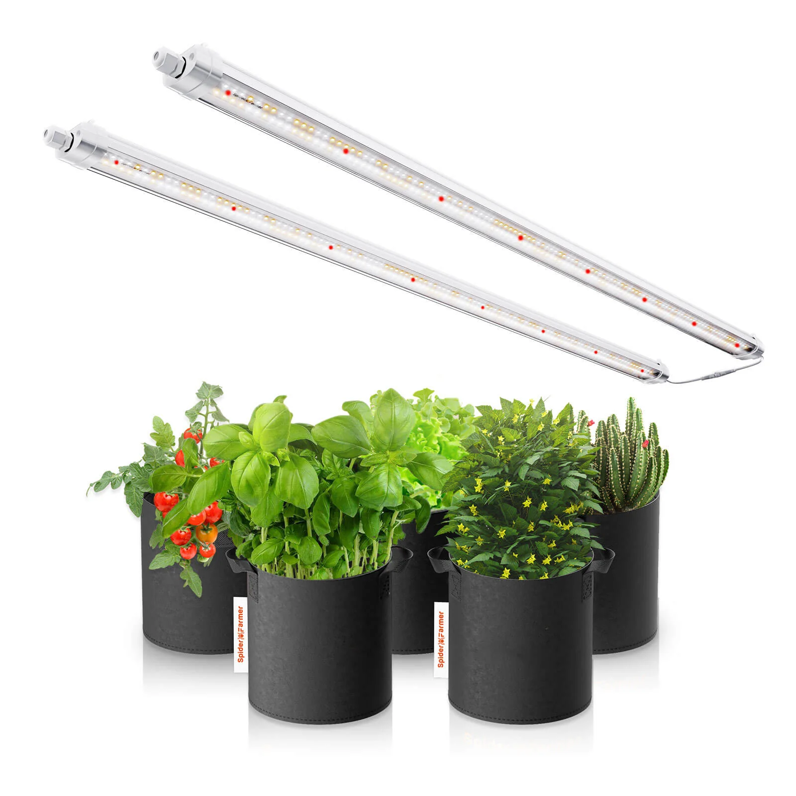 Spider Farmer Glow80 80 Watt LED Grow Light For Veg And Seeding