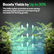 Vivosun Trellis Net for VGrow Smart Grow Box, 1 x 1 ft - Image 3