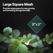 Vivosun Trellis Net for VGrow Smart Grow Box, 1 x 1 ft - Image 6