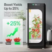 Vivosun VGrow DWC Hydroponics Growing System Kit for VGrow Smart Grow Box, 4-Gallon Deep Water Culture with Air Stones and Rapid Rooters, Not Compatible with E42A+ - Image 4