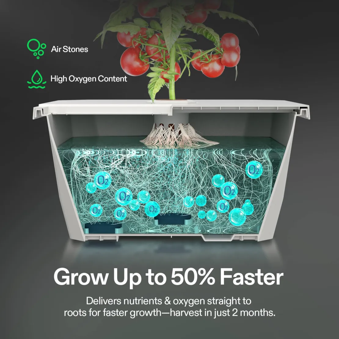 Vivosun VGrow Smart Box & DWC Hydroponics Growing System Kit, Smart Indoor Gardening with Automated Plant Growing - Image 5